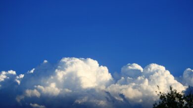 cloud gaming xbox